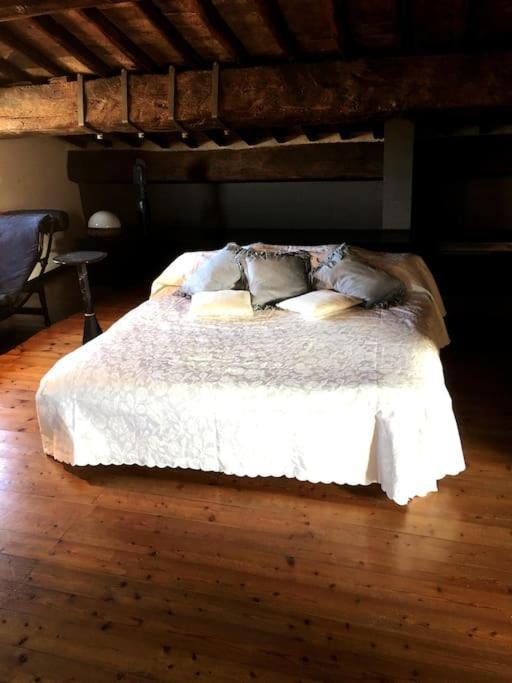 Romantic Studio In The Historical Heart Of بادوفا المظهر الخارجي الصورة